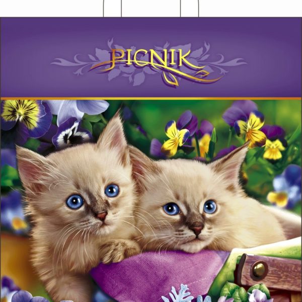 Пакет с петлевой ручкой «Пикник» 38*42см 25/500
